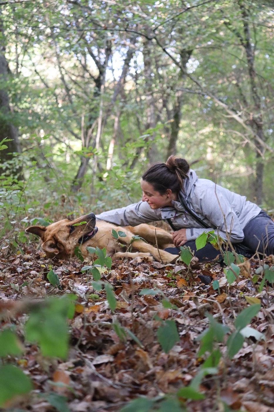 Oliver allongé dans les feuilles, Charlène le caresse