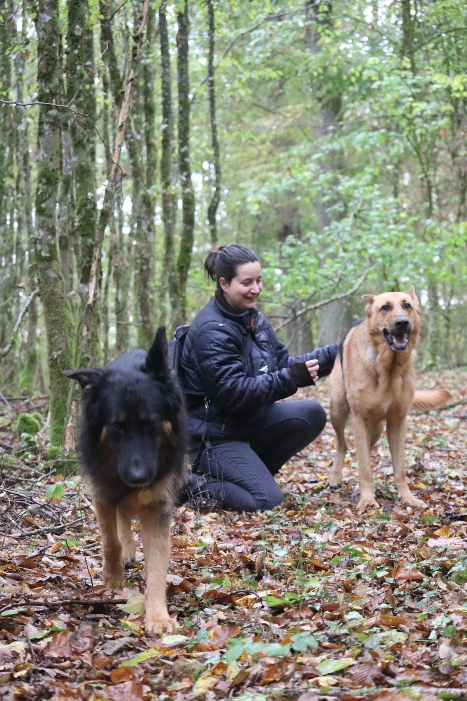Charlène accroupie en forêt entre deux bergers, Vulcain et Oliver